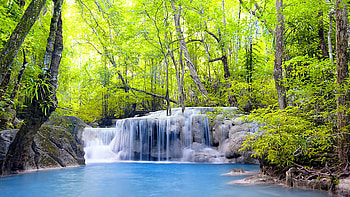 Waterfalls Stream Stones Rocks Forest River Green Leafed Trees Forest Nature HD wallpaper