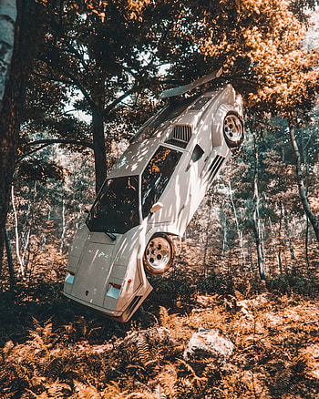 Lamborghini Countach, automotive lighting, car, stuck, tree, lambo HD phone wallpaper