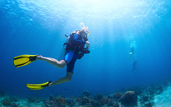 Underwater world , Oceanic wonders, Scuba diving beauty, High-quality HD wallpaper