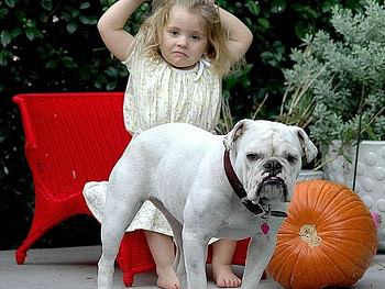 Girl and dog, dog, girl HD wallpaper