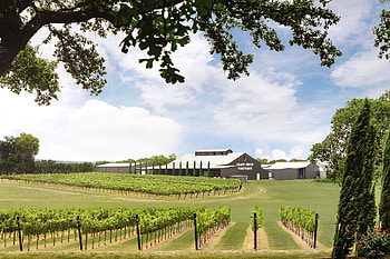 Vineyards on Hwy 290, Wine enthusiasts, Scenic beauty, Wine tasting HD wallpaper