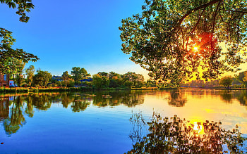 Nature, Rivers, Sunset, Leaves, Sun, Waves, Reflection, Wood, Tree, Crown, Krone, Colors, Color, Evening HD wallpaper