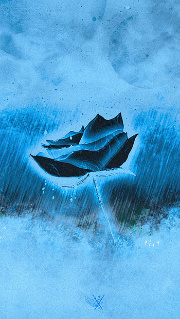 Rose Storm (C), blue, rose, artistic, flower HD phone wallpaper