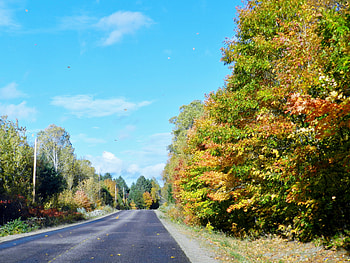 Falling Leaves, graphy, Highway, Nature, Autumn, Clouds, Sky HD wallpaper