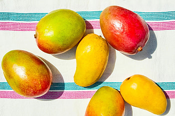Mango season, Sweet and succulent, Exquisite flavor, Summertime delight HD wallpaper