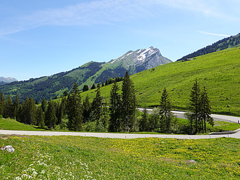 Nature, Trees, Mountains, Road, Slope HD wallpaper