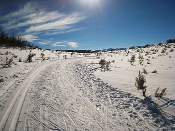Winter, Nature, Trees, Sky, Snow, Summer, Road HD wallpaper