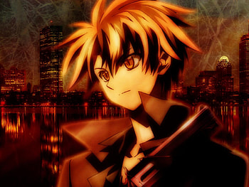 cat eyes, black cat, anime HD wallpaper