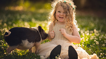 Beautiful Curly Hair Smiling Cute Little Girl Is Sitting On Grass Near Pig Wearing Light Peach Color Dress Cute HD wallpaper