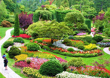 garden, trees, beautiful, nature, flowers HD wallpaper