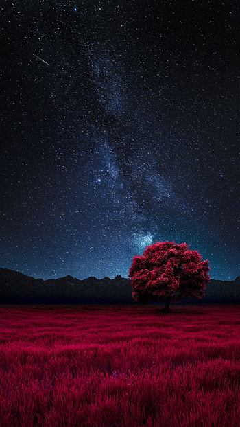 Dark nature, atmosphere, sky HD phone wallpaper