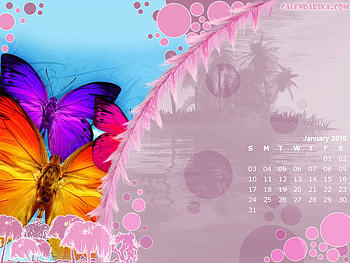 January 2010 butterflies, butterfly, january2010, calendar HD wallpaper
