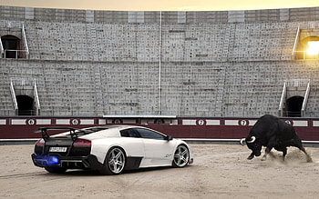 lamborghini aventador, bull, aventador, staduim, lamborghini HD wallpaper