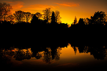 Nature, Trees, Sunset, Silhouette HD wallpaper