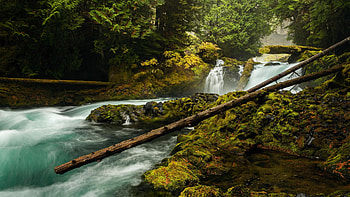 McKenzie River, Oregon, forest, rocks, stream, trees, autumn, usa HD wallpaper