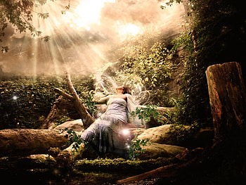 MAGIC LIGHT, shines, sunlight, forest, woman HD wallpaper