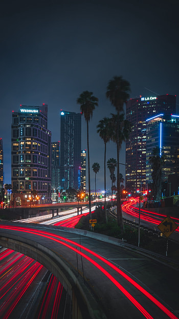 time lapse, palm tree, light, road, night, man made, city HD phone wallpaper