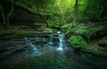 Forest Waterfalls, trees, waterfalls, nature, forest HD wallpaper