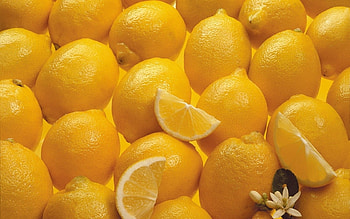 Fruits, Food, Lemons HD wallpaper
