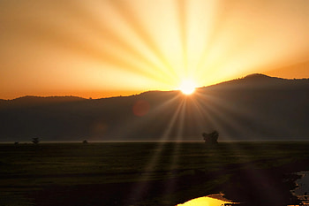 Expectations on Ngorongoro Crater safari, Ultimate guide HD wallpaper
