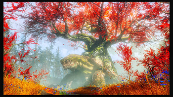 Witch of the Woods Abode, turtle, video game, fantasy, forest, God of War HD wallpaper