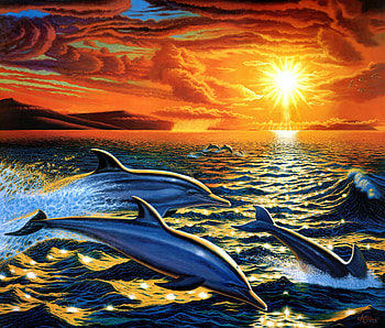 Dolphin Painting, Painting, Dolphin, Art, artist HD wallpaper