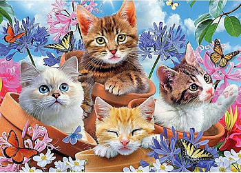 Selfie Kitten, dog, animal, nature, cat, fantasy HD wallpaper