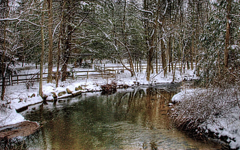 Nature, Rivers, Trees, Snow, Park, Fence, Hedge HD wallpaper