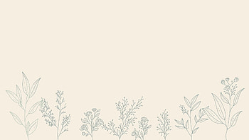 Aesthetic Minimalist Plant , Aesthetic Minimal Laptop HD wallpaper