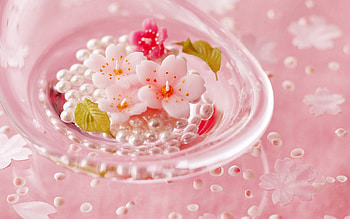 Flowers, Candles, Miscellanea, Miscellaneous, Beads, Plate, Handsomely, It's Beautiful HD wallpaper