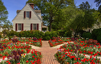 Garden, Building, House, , Flower, Spring, Tulip HD wallpaper