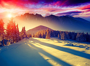 Winter, Sunrises HD wallpaper