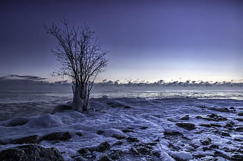 Frozen Winter Snow Landscape, frozen, winter, snow, landscape, nature HD wallpaper