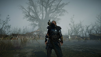 video game, Assassin's Creed Valhalla HD wallpaper