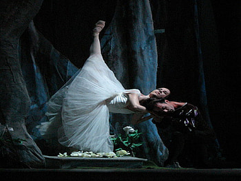 ballet, music, grace, dance, harmony HD wallpaper