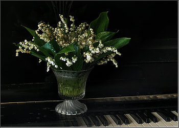 Still Life With Piano, art , still life, glass vase, white, piano tastature, flowers, water, nice HD wallpaper