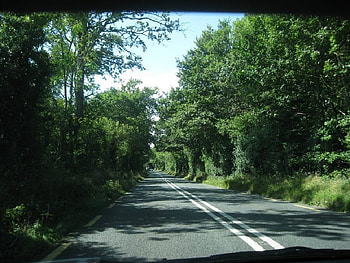 Road Through the Wicklow Mountains, Ireland, ireland, wicklow, trees, road, travel HD wallpaper
