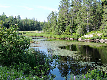 Summer Landscape, graphy, Summer, Rocks, Trees, Landscape, Nature, Sunshine, River HD wallpaper