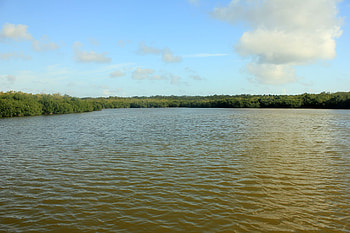 Glades lake, Everglades National Park, Florida, Serene water body HD wallpaper