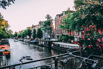 Charming view of Amsterdam canal lined with historic buildings and bicycles at sunset. HD wallpaper
