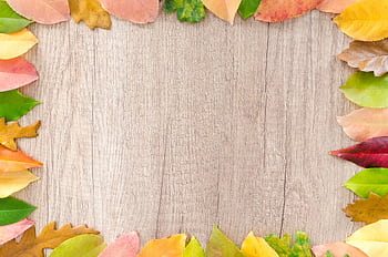 Colorful autumn leaves frame a natural wood background, perfect for seasonal designs. HD wallpaper