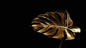 Gold Leaf , Elegant and sophisticated, Minimalist design, Artistic representation HD wallpaper