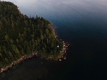 Nature, Water, Trees, View From Above, Coast, Forest HD wallpaper