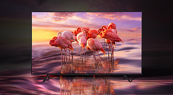 Samsung, , Television, Flamingo HD wallpaper