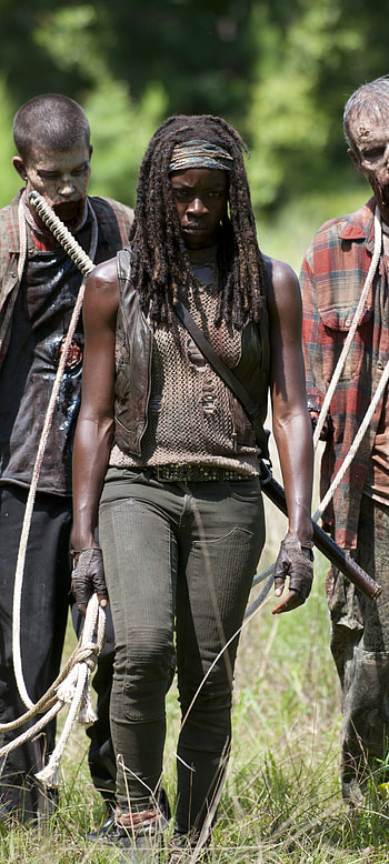 TV Show, The Walking Dead HD phone wallpaper