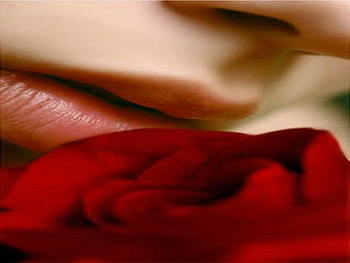 Kiss of the Rose, rose, kiss, lady, grapy HD wallpaper