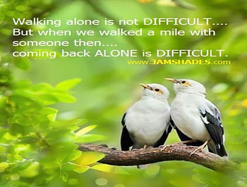 Love n Care, birds, quotes, love, nature, care HD wallpaper