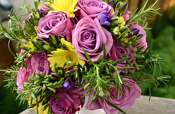 Flowers, Roses, Registration, Typography, Close-Up, Bouquet, sia HD wallpaper