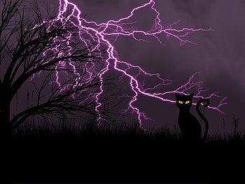 Grass, Art, Night, Lightning, Black Cat HD wallpaper