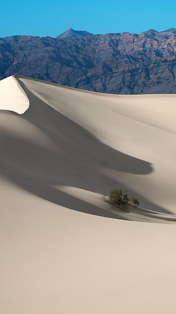 Sand Dunes, Death Valley National Park HD phone wallpaper